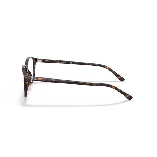 RAY-BAN  RX5393 - 2012 LEONARD