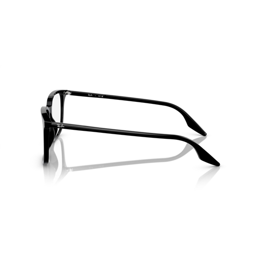 RAY-BAN  RX5421 - 2000