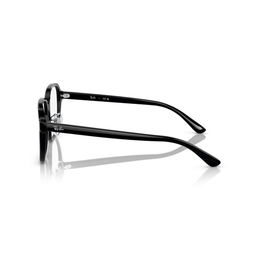 RAY-BAN  RX5424D - 2000