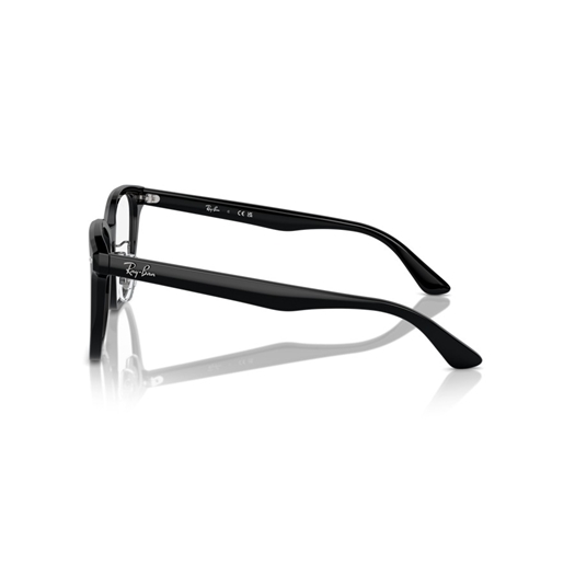 RAY-BAN  RX5425D - 2000