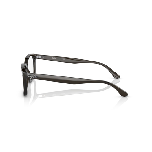 RAY-BAN RX5428 - 8299