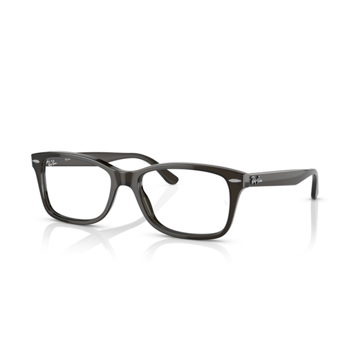 RAY-BAN RX5428 - 8299