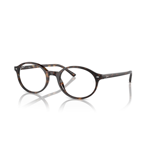 RAY-BAN  RX5429 - 2012 GERMAN