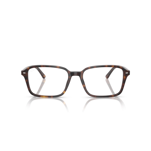 RAY-BAN  RX5431 - 2012 RAIMOND