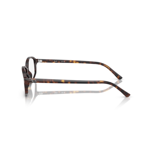 RAY-BAN RX5432 - 2012 SAM