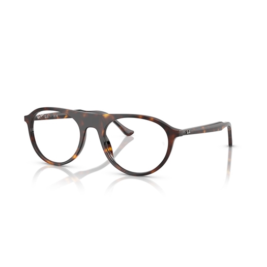 RAY-BAN RX5441 - 2012