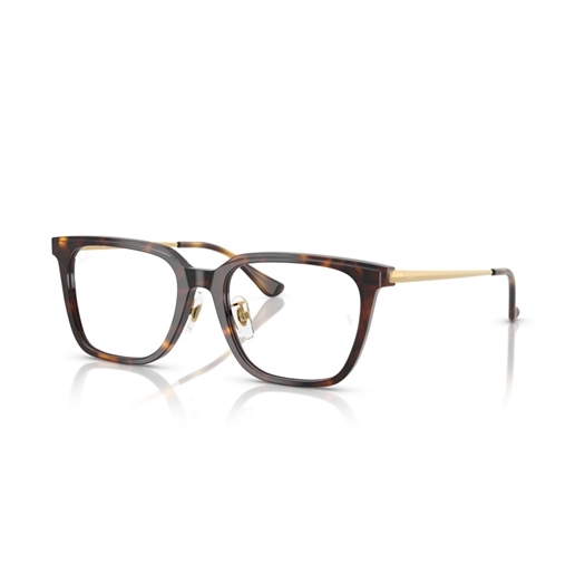 RAY-BAN  RX5442D - 2012