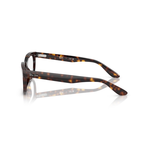 RAY-BAN  RX5489 - 2012 BALORETTE