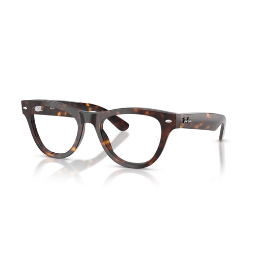 RAY-BAN  RX5510 - 2012