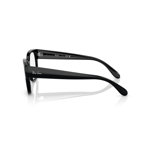 RAY-BAN  RX7210 - 2000