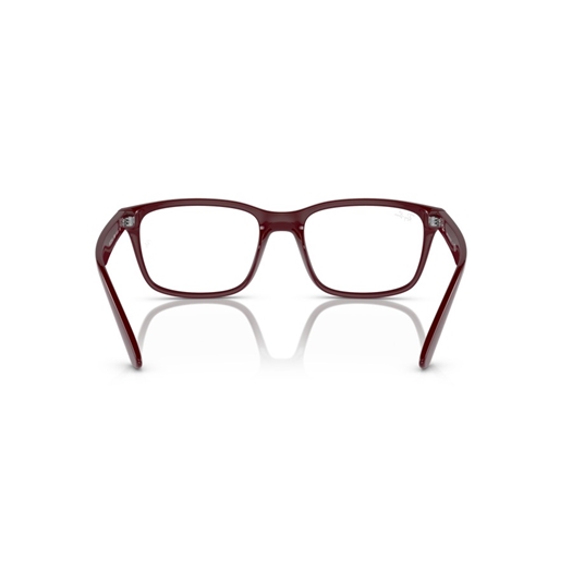 RAY-BAN RX7221M - F685