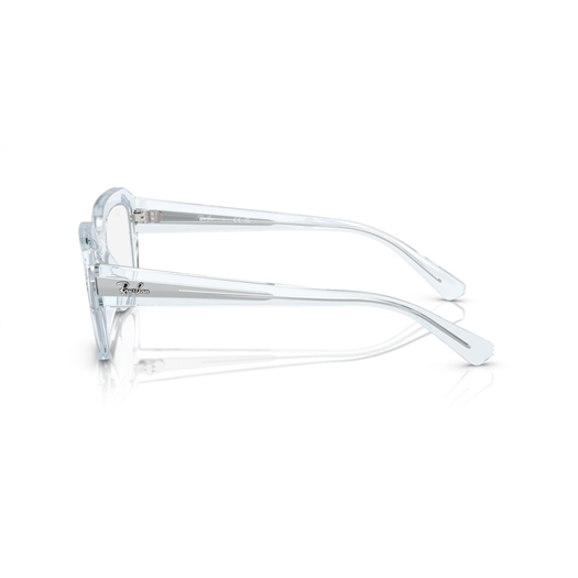 RAY-BAN  RX7225 - 8319 LEONID