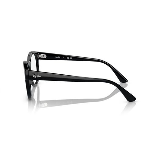RAY-BAN  RX7227 - 2000