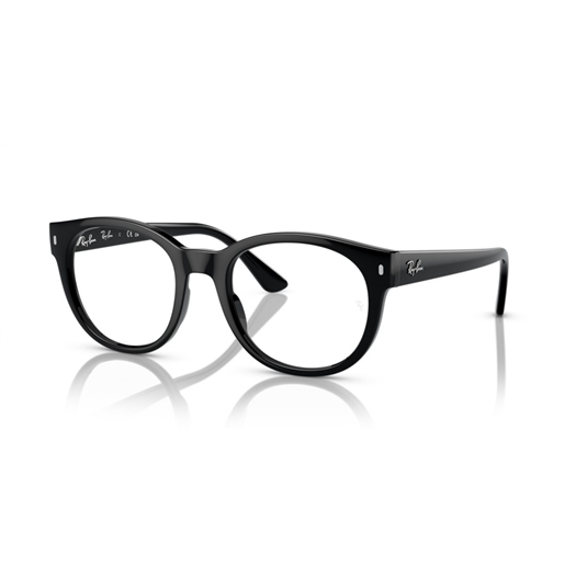 RAY-BAN  RX7227 - 2000
