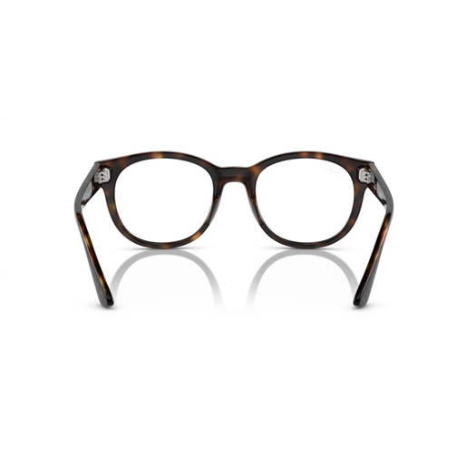 RAY-BAN  RX7227 - 2012