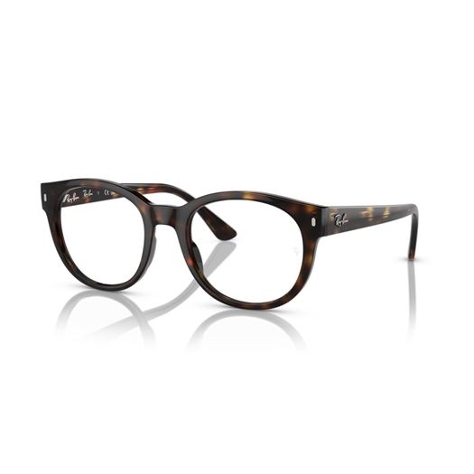 RAY-BAN  RX7227 - 2012