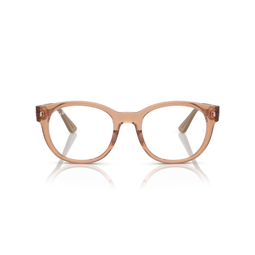 RAY-BAN  RX7227 - 8313