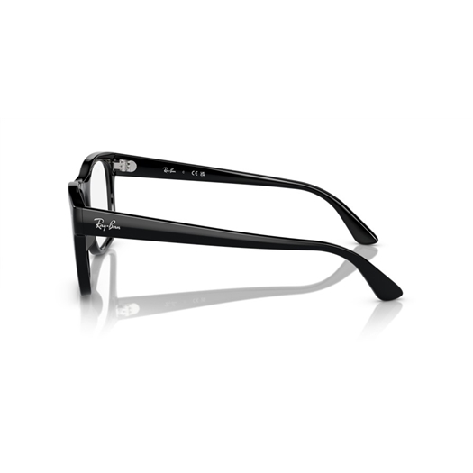 RAY-BAN  RX7228 - 2000