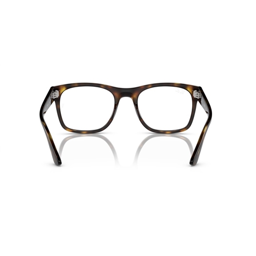 RAY-BAN  RX7228 - 2012