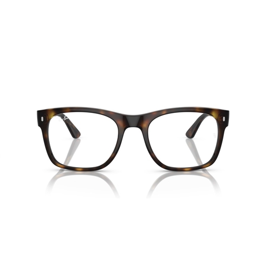 RAY-BAN  RX7228 - 2012