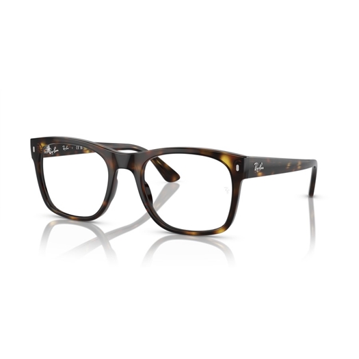 RAY-BAN  RX7228 - 2012