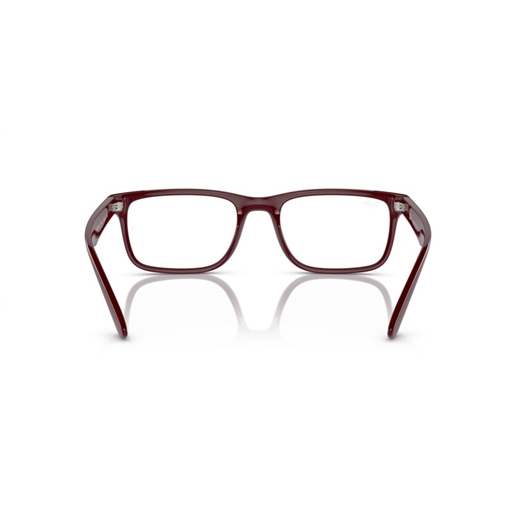RAY-BAN RX7232M - F685