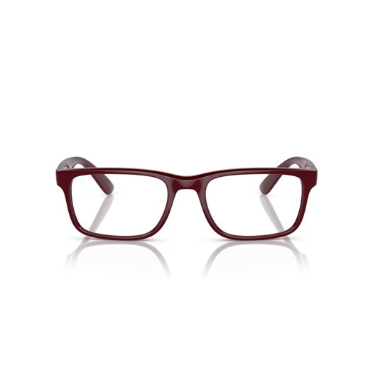 RAY-BAN RX7232M - F685