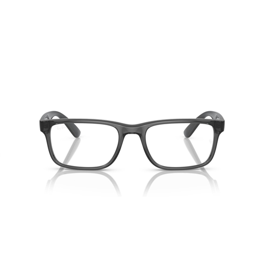 RAY-BAN RX7232M - F691