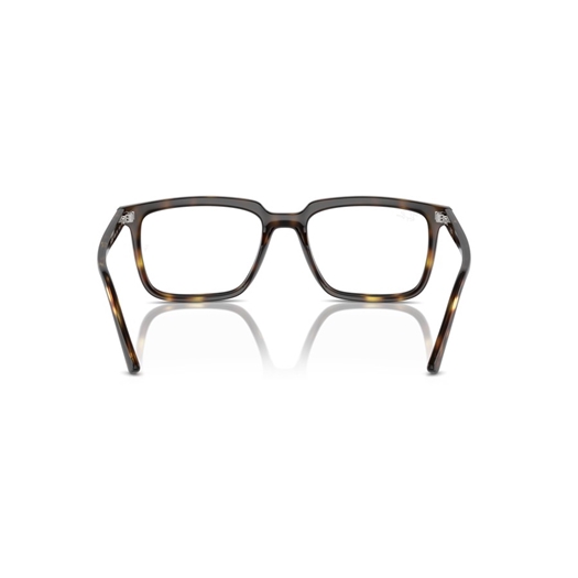 RAY-BAN RX7239 - 2012 ALAIN