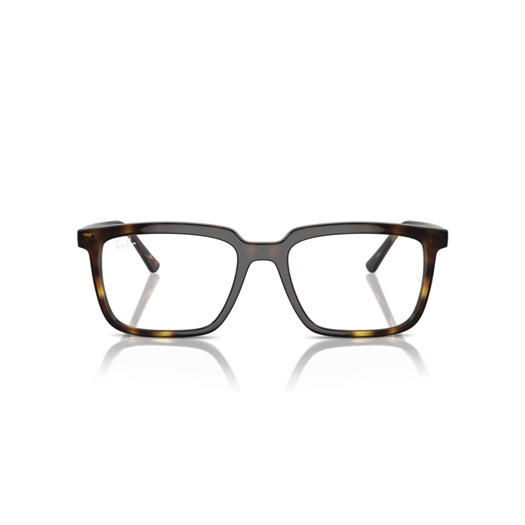 RAY-BAN RX7239 - 2012 ALAIN