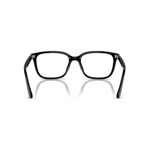 RAY-BAN  RX7248D - 2000