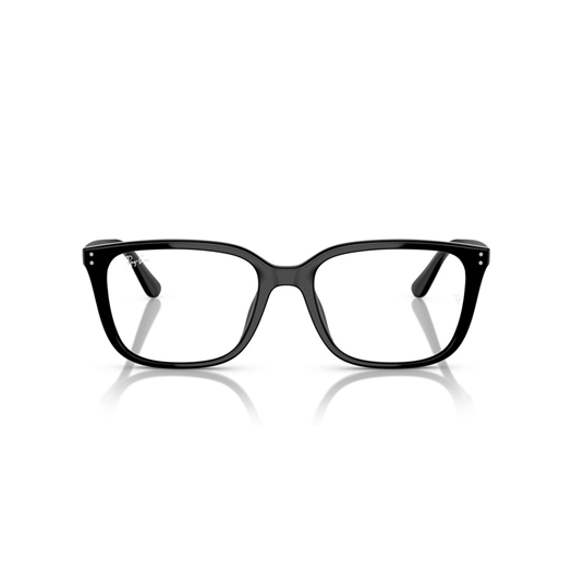 RAY-BAN  RX7248D - 2000