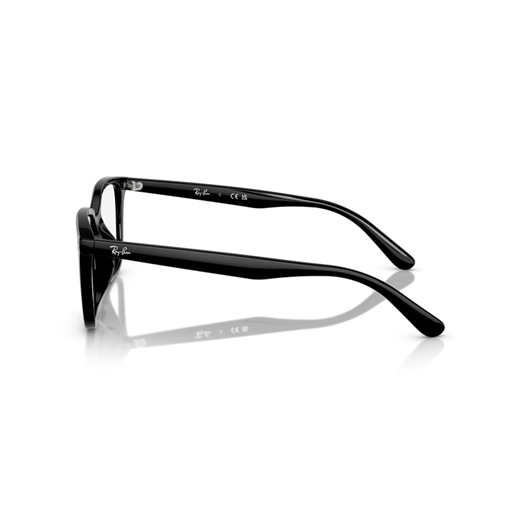 RAY-BAN  RX7248D - 2000