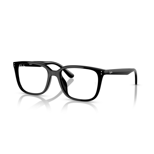 RAY-BAN  RX7248D - 2000