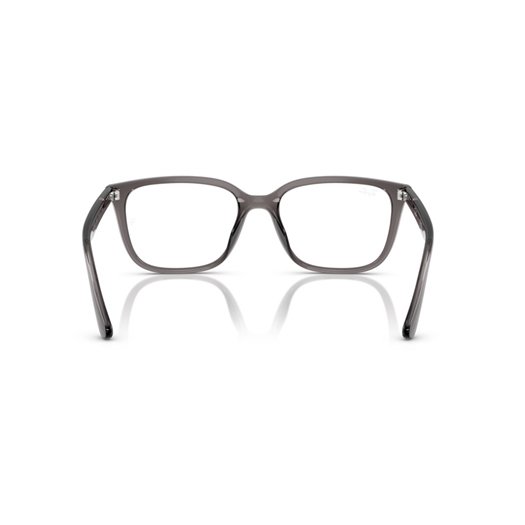 RAY-BAN  RX7248D - 8257