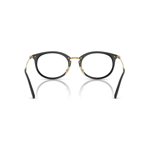 RAY-BAN  RX7255 - 2000