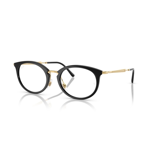 RAY-BAN  RX7255 - 2000