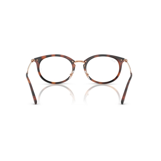 RAY-BAN  RX7255 - 5687