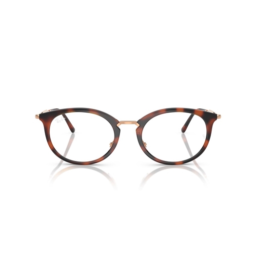 RAY-BAN  RX7255 - 5687