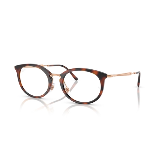 RAY-BAN  RX7255 - 5687