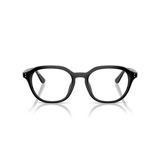 RAY-BAN  RX7259D - 2000
