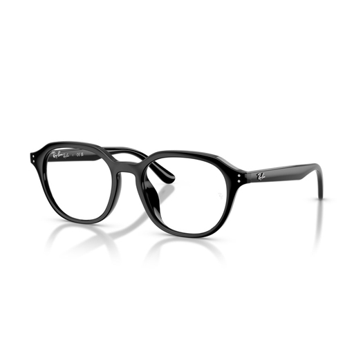 RAY-BAN  RX7259D - 2000