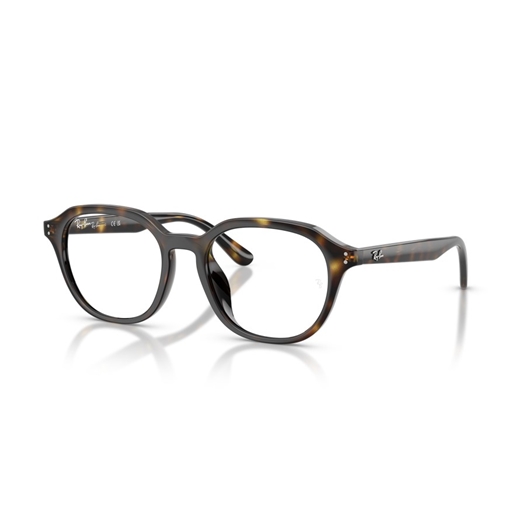 RAY-BAN  RX7259D - 2012