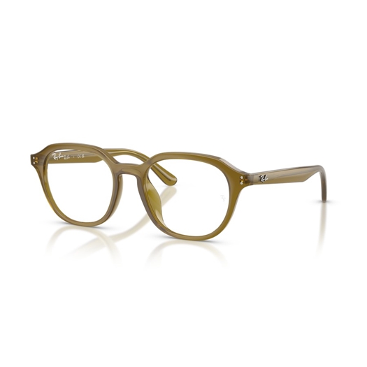 RAY-BAN  RX7259D - 8437