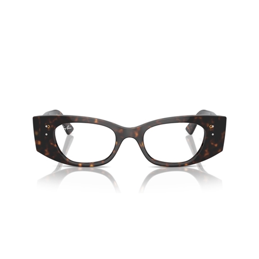 RAY-BAN  RX7327 - 8320 KAT