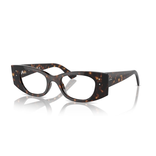 RAY-BAN  RX7327 - 8320 KAT