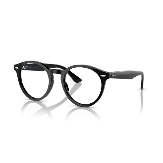 RAY-BAN  RX7680V - 2000 LARRY