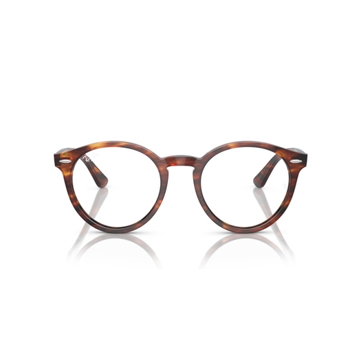 RAY-BAN  RX7680V - 2144 LARRY