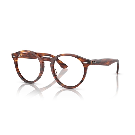 RAY-BAN  RX7680V - 2144 LARRY