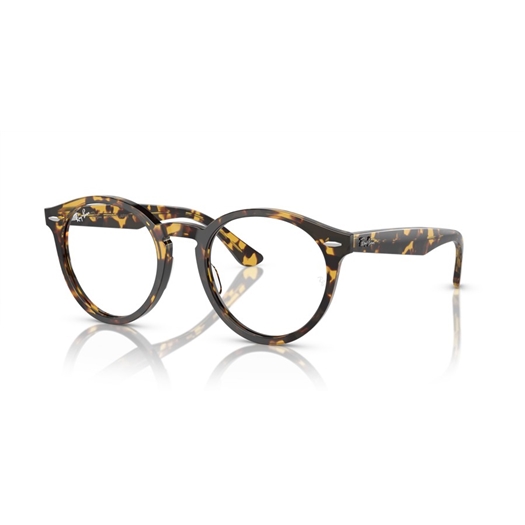 RAY-BAN  RX7680V - 8116 LARRY